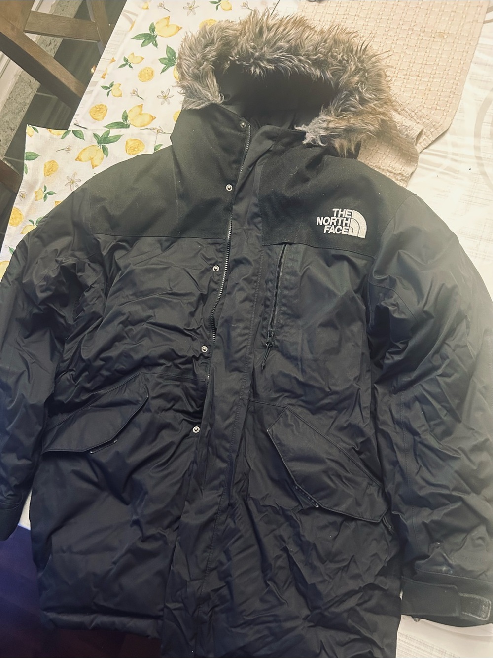 The North Face Black Men's Insulated Parka with Faux-Fur Hood
